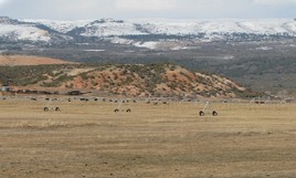Wind/Bighorn Landscape